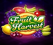 Fruit Harvest